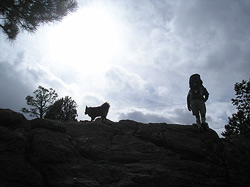 Hiker and dog in 3 Sisters