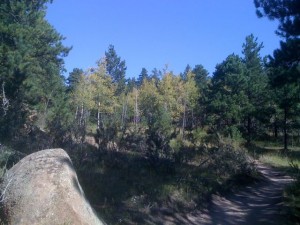 Hidden Fawn Train in 3 Sisters Open Space Park - Evergreen, CO - September 5, 2009.